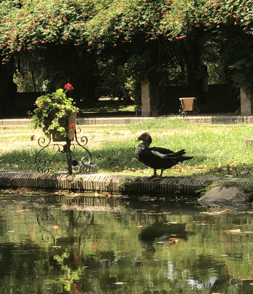 Bleep the obscenities please.